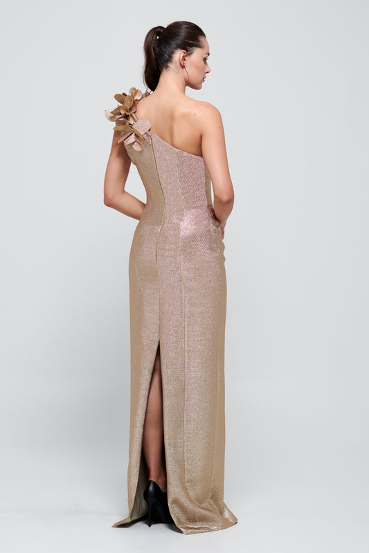 One Sleeve Long Gold Gown