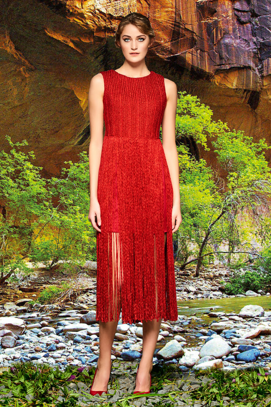 Metallic Band and Fringe Dress