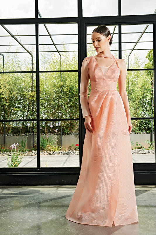 Organza One-Sleeve Honeycombed Jacquard Long Dress