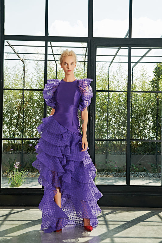 Special Pleat Organza Ruffle and Taffeta Dress