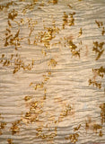 Metallic Burnout Brocade