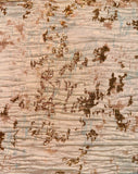 Metallic Burnout Brocade