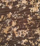Metallic Burnout Brocade