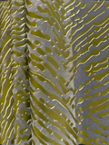 Zebra Patterned Viscose