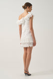 One-Shoulder Mini Dress with Ruffle  Details