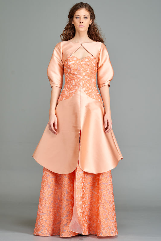 Long Fil Coupe and Taffeta Dress