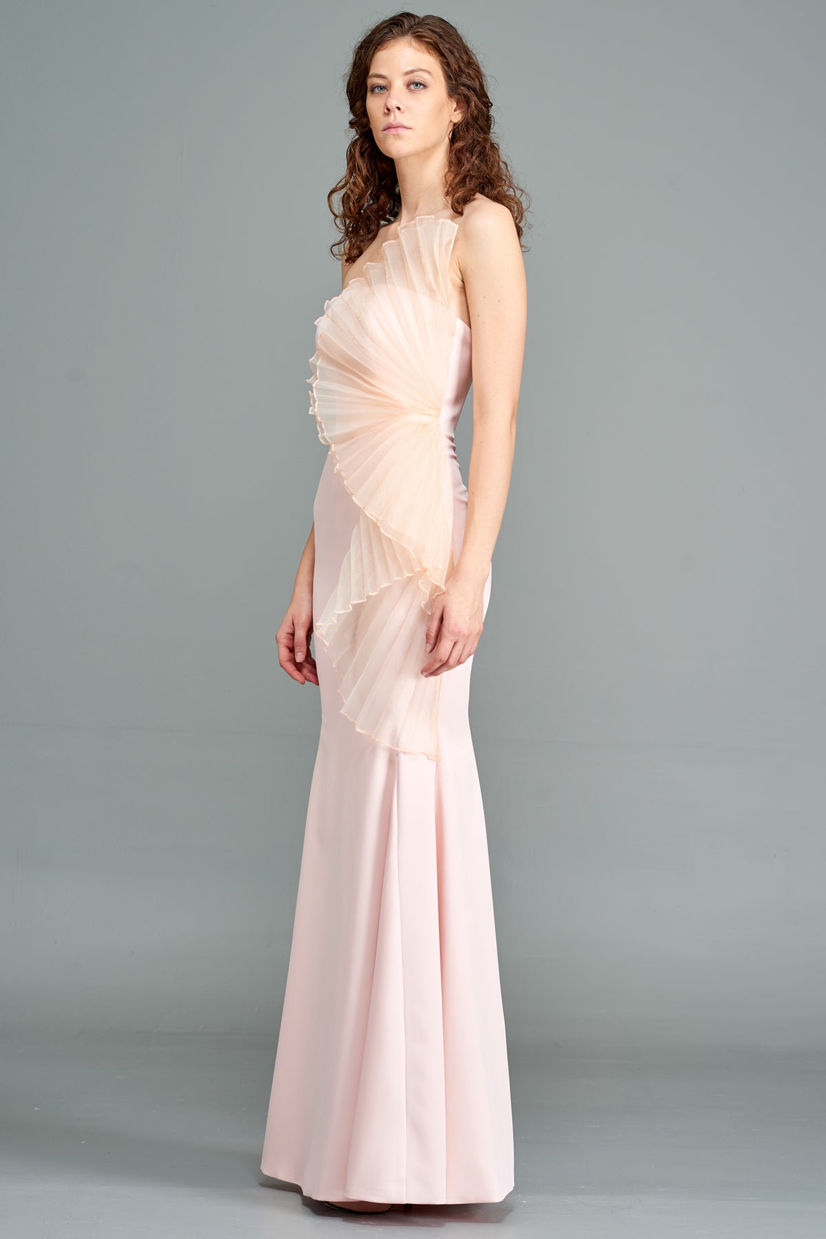 Side Pleated Organza Dress