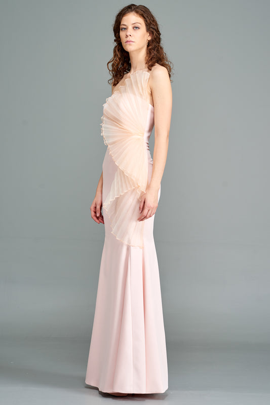 Side Pleated Organza Dress