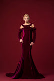 Shinny Velvet Ruffle Detailed Velvet Long Dress