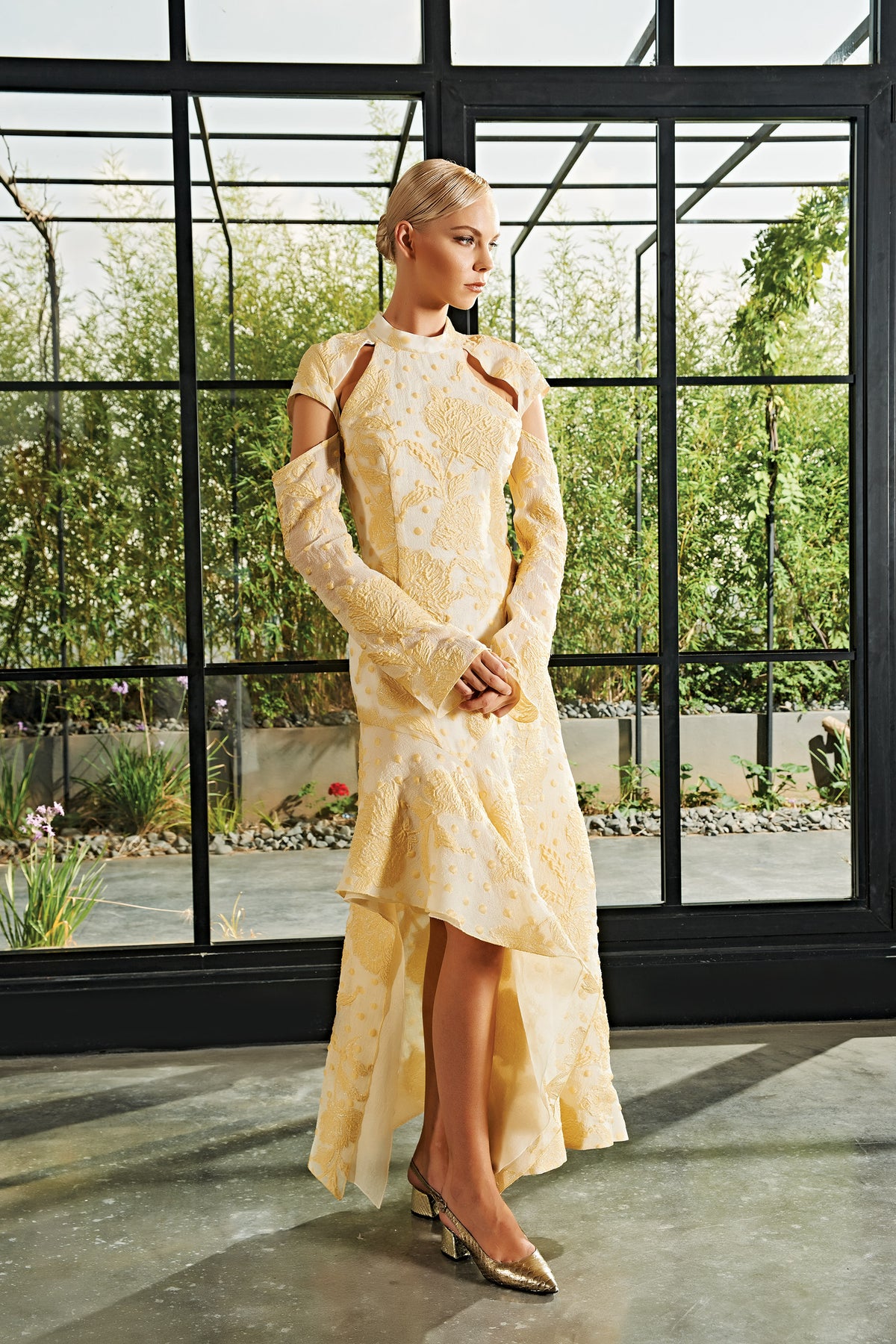 Cold-Sleeve Fil-Coupe and Soft Organza Long Dress