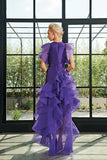 Special Pleat Organza Ruffle and Taffeta Dress