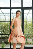 Pleated Organza Short Dress