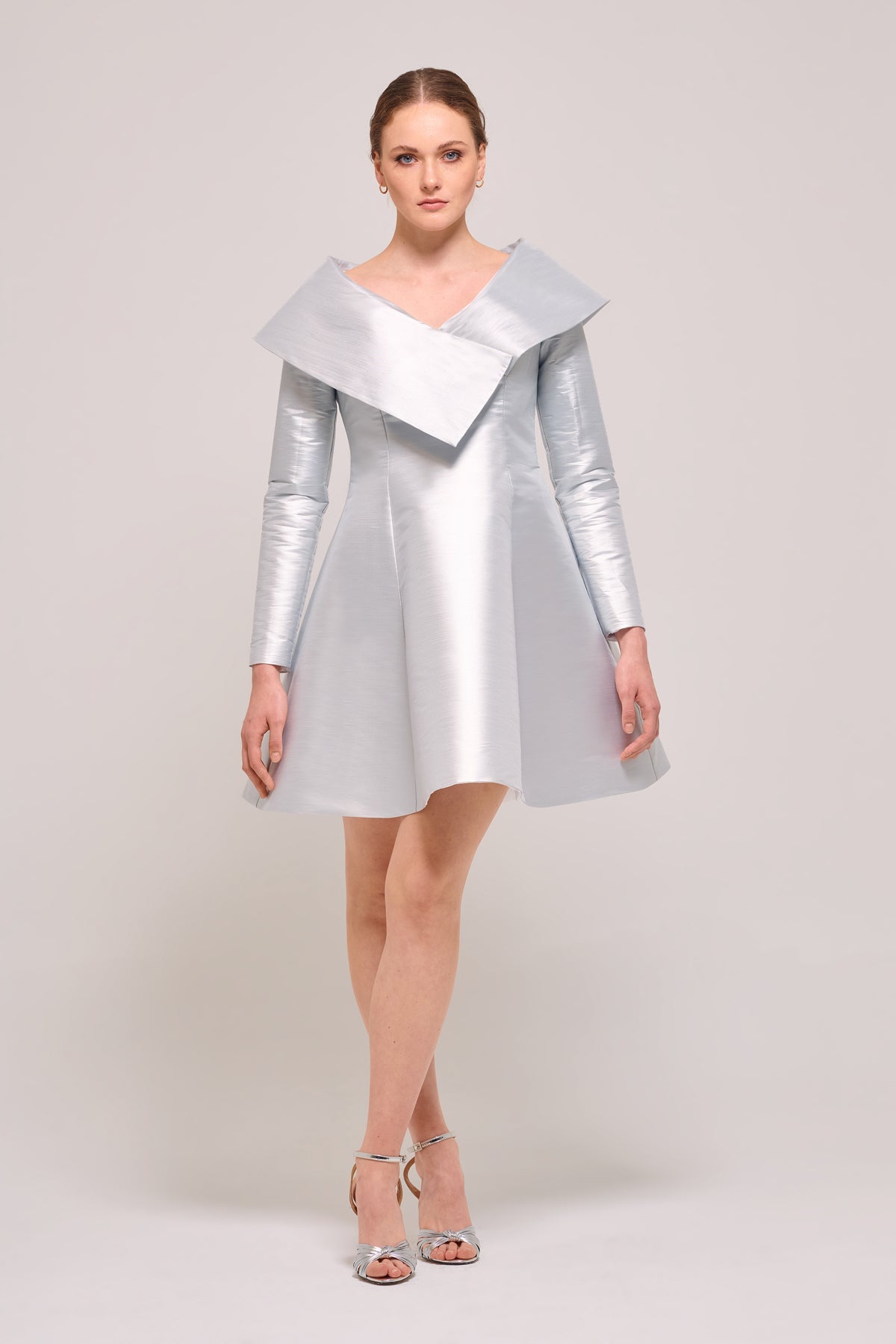 Long Sleeves Short Silver Gown