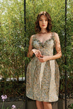 3D Flower Detailed Flowered Jacquard Short Dress
