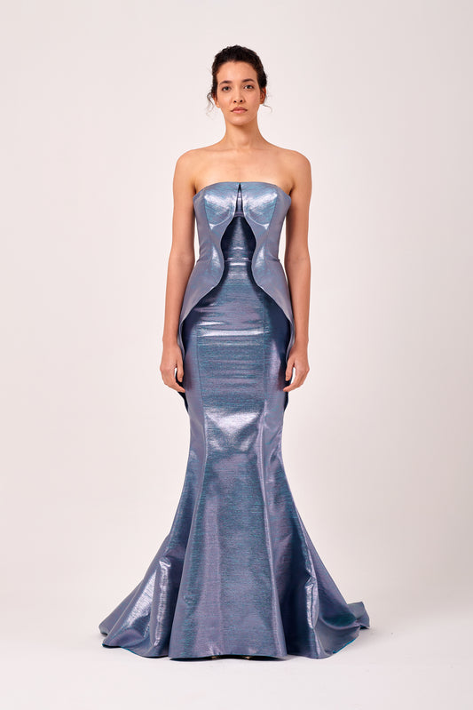 Strapless Long Mermaid Dress