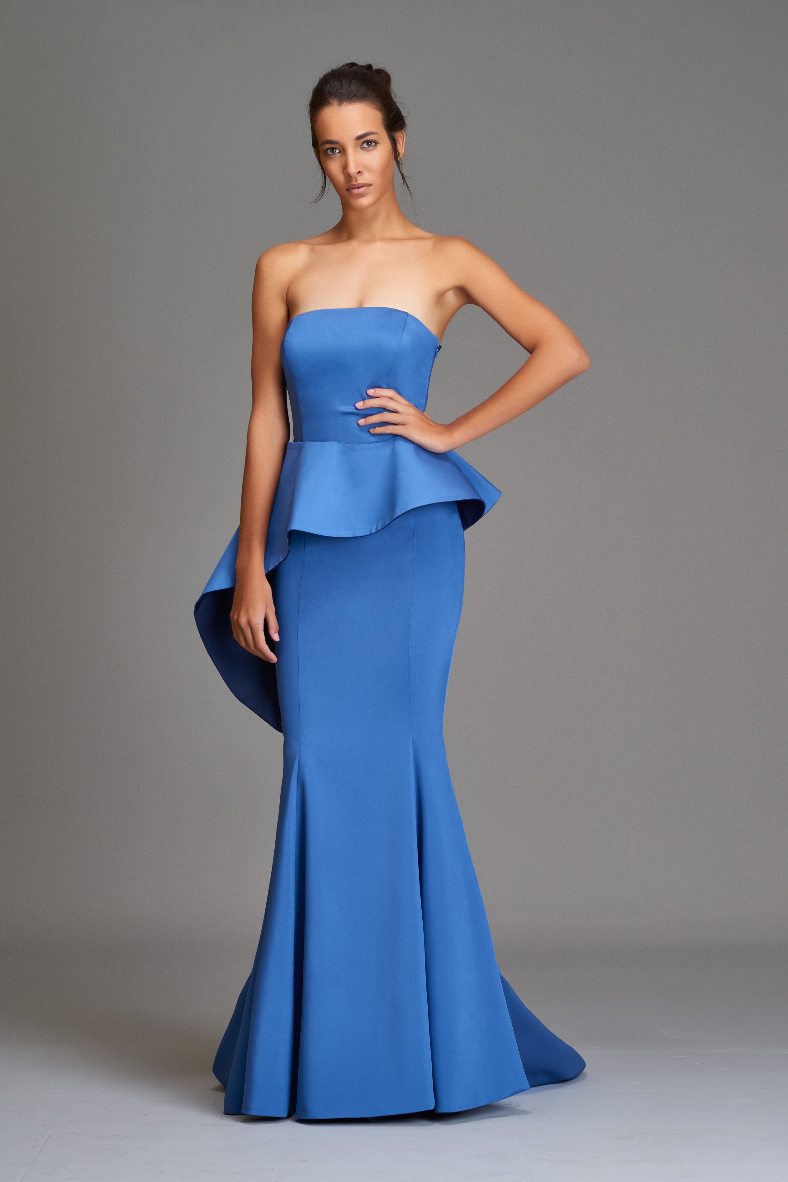 Two-Toned Strapless Gown