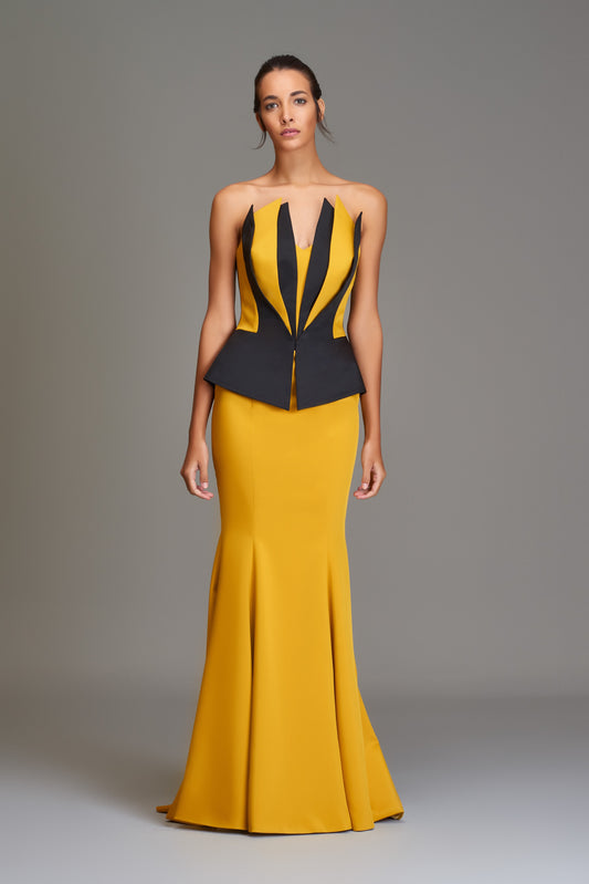 Structured Two-Toned Gown