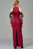 Organza Drape Sleeve Long Dress