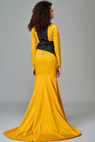 Two Toned Gown