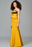 Structured Two Toned Long Dress