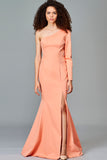 One Sleeve Dress