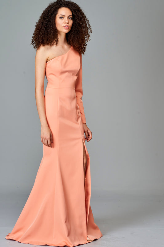 One Sleeve Dress