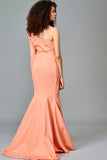 One Sleeve Dress