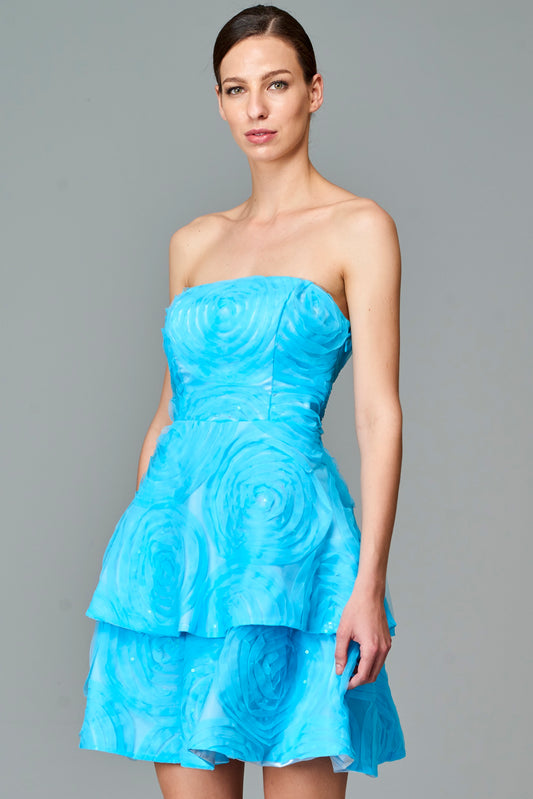 Embroidered Strapless Short Dress