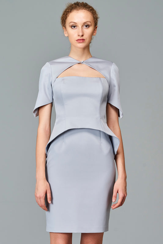 Fitted Short Dress