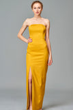 Fitted Strapless Long Dress