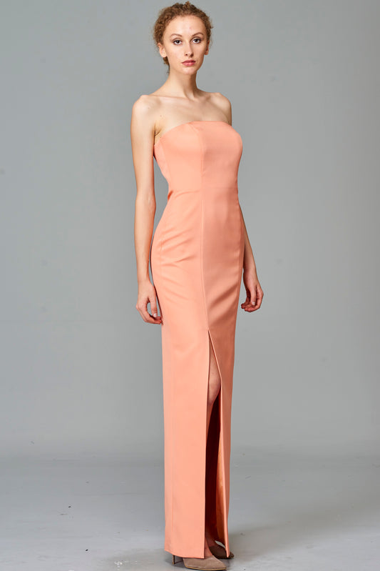 Fitted Strapless Long Dress