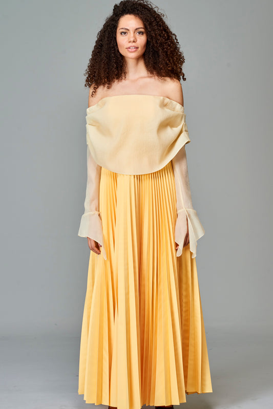 Pleated Taffeta and Soft Organza Long Dress