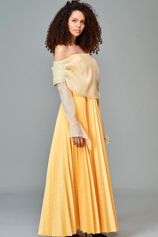Pleated Taffeta and Soft Organza Long Dress